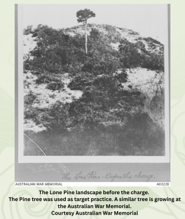 Coomera Anzacs - The Cenotaph